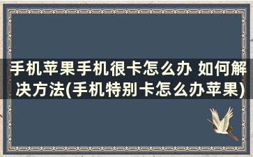 手机苹果手机很卡怎么办 如何解决方法(手机特别卡怎么办苹果)